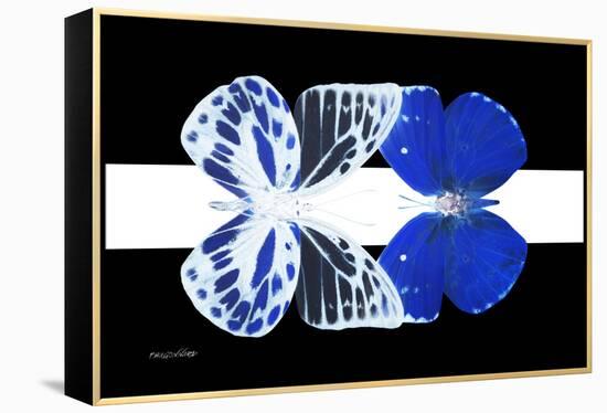 Miss Butterfly Duo Priopomia - X-Ray B&W Edition II-Philippe Hugonnard-Framed Premier Image Canvas