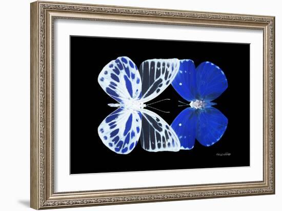 Miss Butterfly Duo Priopomia - X-Ray Black Edition-Philippe Hugonnard-Framed Photographic Print