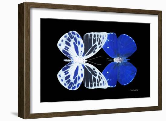 Miss Butterfly Duo Priopomia - X-Ray Black Edition-Philippe Hugonnard-Framed Photographic Print