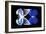 Miss Butterfly Duo Priopomia - X-Ray Black Edition-Philippe Hugonnard-Framed Photographic Print