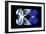 Miss Butterfly Duo Priopomia - X-Ray Black Edition-Philippe Hugonnard-Framed Photographic Print