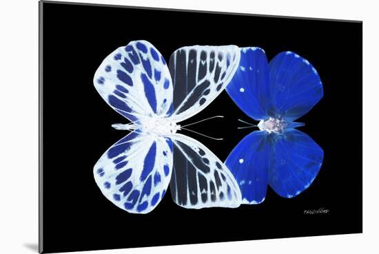 Miss Butterfly Duo Priopomia - X-Ray Black Edition-Philippe Hugonnard-Mounted Photographic Print