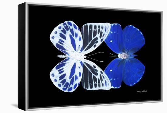 Miss Butterfly Duo Priopomia - X-Ray Black Edition-Philippe Hugonnard-Framed Premier Image Canvas