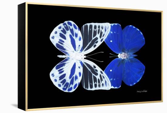 Miss Butterfly Duo Priopomia - X-Ray Black Edition-Philippe Hugonnard-Framed Premier Image Canvas