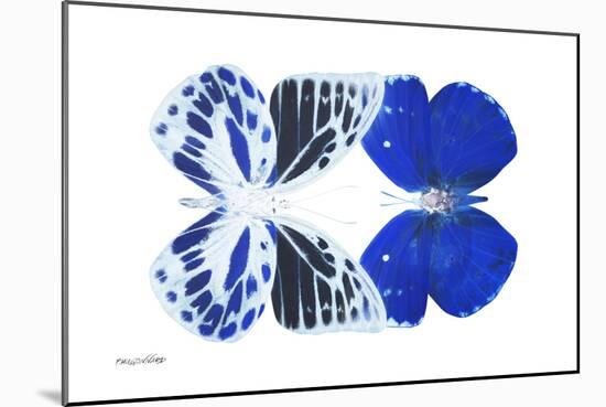 Miss Butterfly Duo Priopomia - X-Ray White Edition-Philippe Hugonnard-Mounted Photographic Print