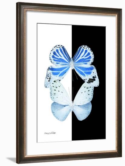 Miss Butterfly Duo Salateuploea II - X-Ray B&W Edition-Philippe Hugonnard-Framed Photographic Print