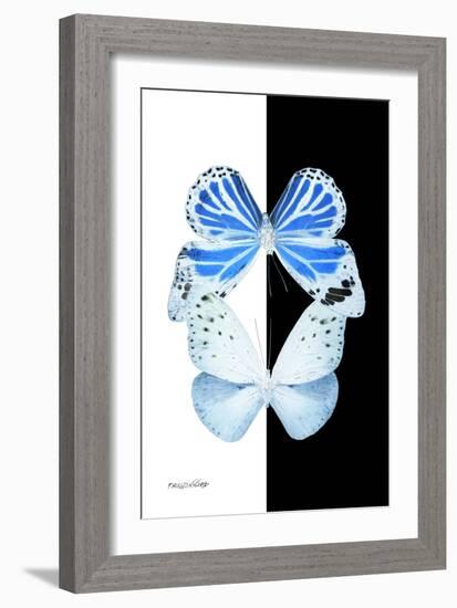 Miss Butterfly Duo Salateuploea II - X-Ray B&W Edition-Philippe Hugonnard-Framed Photographic Print