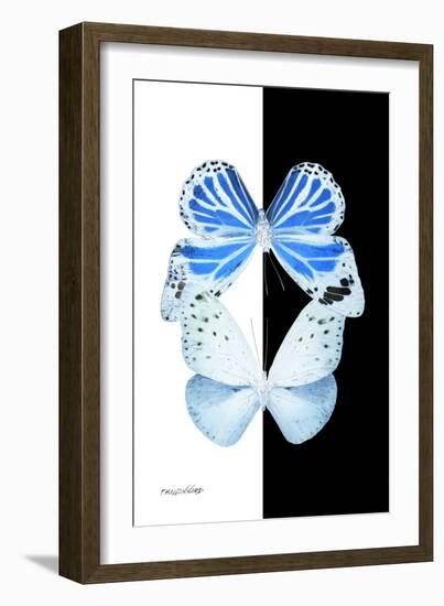 Miss Butterfly Duo Salateuploea II - X-Ray B&W Edition-Philippe Hugonnard-Framed Photographic Print