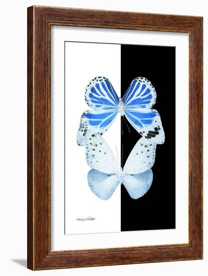 Miss Butterfly Duo Salateuploea II - X-Ray B&W Edition-Philippe Hugonnard-Framed Photographic Print