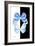 Miss Butterfly Duo Salateuploea II - X-Ray B&W Edition-Philippe Hugonnard-Framed Photographic Print