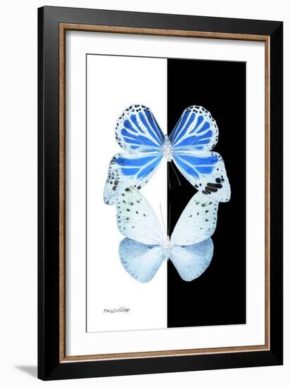 Miss Butterfly Duo Salateuploea II - X-Ray B&W Edition-Philippe Hugonnard-Framed Photographic Print