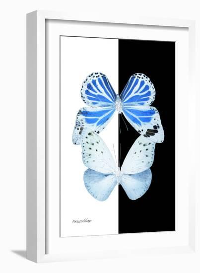 Miss Butterfly Duo Salateuploea II - X-Ray B&W Edition-Philippe Hugonnard-Framed Photographic Print