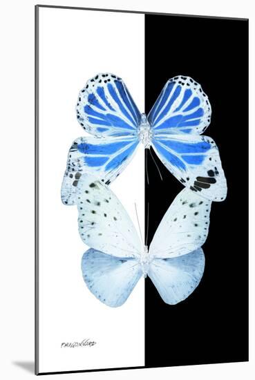 Miss Butterfly Duo Salateuploea II - X-Ray B&W Edition-Philippe Hugonnard-Mounted Photographic Print