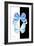 Miss Butterfly Duo Salateuploea II - X-Ray B&W Edition-Philippe Hugonnard-Framed Photographic Print