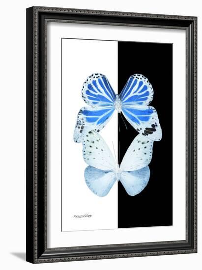 Miss Butterfly Duo Salateuploea II - X-Ray B&W Edition-Philippe Hugonnard-Framed Photographic Print