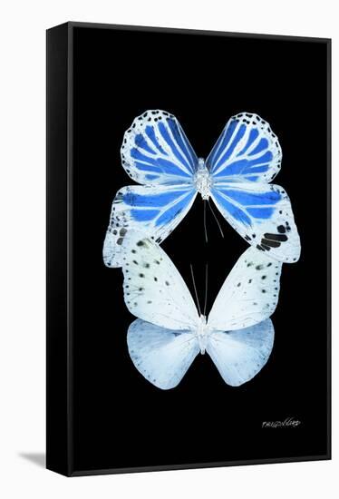 Miss Butterfly Duo Salateuploea II - X-Ray Black Edition-Philippe Hugonnard-Framed Premier Image Canvas