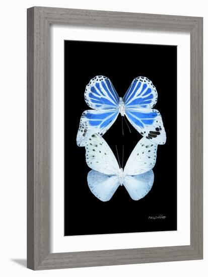 Miss Butterfly Duo Salateuploea II - X-Ray Black Edition-Philippe Hugonnard-Framed Photographic Print