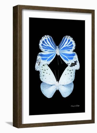 Miss Butterfly Duo Salateuploea II - X-Ray Black Edition-Philippe Hugonnard-Framed Photographic Print