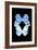 Miss Butterfly Duo Salateuploea II - X-Ray Black Edition-Philippe Hugonnard-Framed Photographic Print