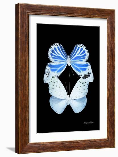 Miss Butterfly Duo Salateuploea II - X-Ray Black Edition-Philippe Hugonnard-Framed Photographic Print