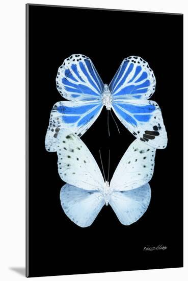 Miss Butterfly Duo Salateuploea II - X-Ray Black Edition-Philippe Hugonnard-Mounted Photographic Print