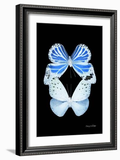 Miss Butterfly Duo Salateuploea II - X-Ray Black Edition-Philippe Hugonnard-Framed Photographic Print