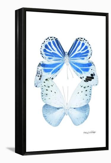 Miss Butterfly Duo Salateuploea II - X-Ray White Edition-Philippe Hugonnard-Framed Premier Image Canvas