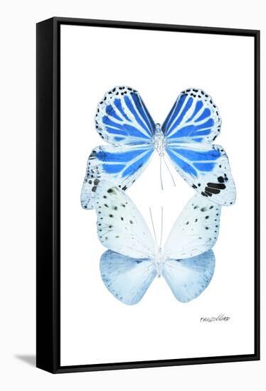 Miss Butterfly Duo Salateuploea II - X-Ray White Edition-Philippe Hugonnard-Framed Premier Image Canvas