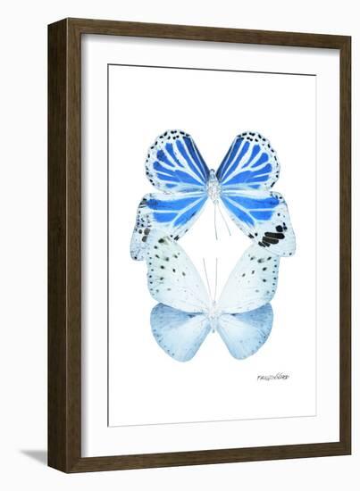 Miss Butterfly Duo Salateuploea II - X-Ray White Edition-Philippe Hugonnard-Framed Photographic Print