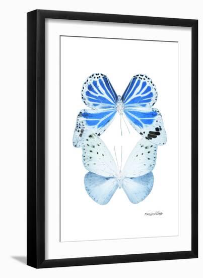 Miss Butterfly Duo Salateuploea II - X-Ray White Edition-Philippe Hugonnard-Framed Photographic Print