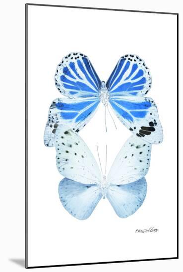 Miss Butterfly Duo Salateuploea II - X-Ray White Edition-Philippe Hugonnard-Mounted Photographic Print