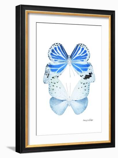 Miss Butterfly Duo Salateuploea II - X-Ray White Edition-Philippe Hugonnard-Framed Photographic Print