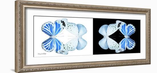 Miss Butterfly Duo Salateuploea Pan - X-Ray B&W Edition-Philippe Hugonnard-Framed Photographic Print