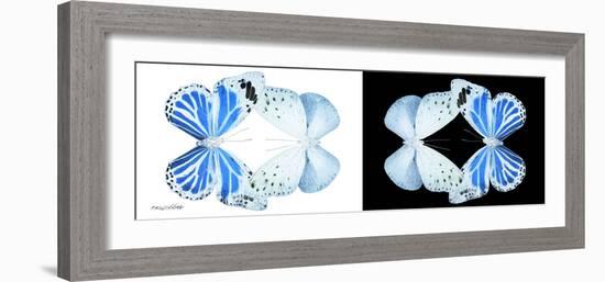Miss Butterfly Duo Salateuploea Pan - X-Ray B&W Edition-Philippe Hugonnard-Framed Photographic Print