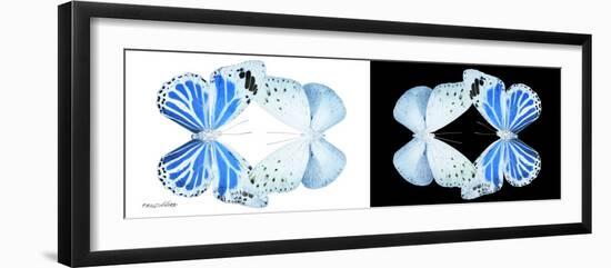 Miss Butterfly Duo Salateuploea Pan - X-Ray B&W Edition-Philippe Hugonnard-Framed Photographic Print