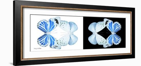 Miss Butterfly Duo Salateuploea Pan - X-Ray B&W Edition-Philippe Hugonnard-Framed Photographic Print