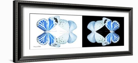 Miss Butterfly Duo Salateuploea Pan - X-Ray B&W Edition-Philippe Hugonnard-Framed Photographic Print