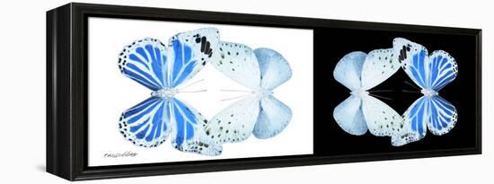 Miss Butterfly Duo Salateuploea Pan - X-Ray B&W Edition-Philippe Hugonnard-Framed Premier Image Canvas