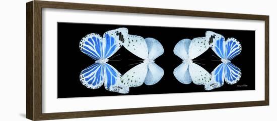 Miss Butterfly Duo Salateuploea Pan - X-Ray Black Edition II-Philippe Hugonnard-Framed Photographic Print
