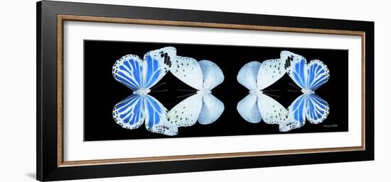 Miss Butterfly Duo Salateuploea Pan - X-Ray Black Edition II-Philippe Hugonnard-Framed Photographic Print