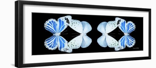 Miss Butterfly Duo Salateuploea Pan - X-Ray Black Edition II-Philippe Hugonnard-Framed Photographic Print