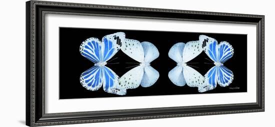 Miss Butterfly Duo Salateuploea Pan - X-Ray Black Edition II-Philippe Hugonnard-Framed Photographic Print