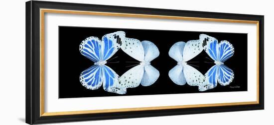 Miss Butterfly Duo Salateuploea Pan - X-Ray Black Edition II-Philippe Hugonnard-Framed Photographic Print