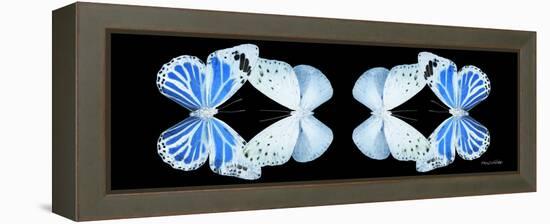 Miss Butterfly Duo Salateuploea Pan - X-Ray Black Edition II-Philippe Hugonnard-Framed Premier Image Canvas