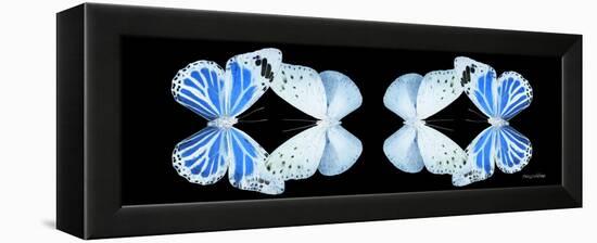 Miss Butterfly Duo Salateuploea Pan - X-Ray Black Edition II-Philippe Hugonnard-Framed Premier Image Canvas