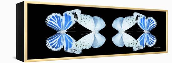 Miss Butterfly Duo Salateuploea Pan - X-Ray Black Edition II-Philippe Hugonnard-Framed Premier Image Canvas