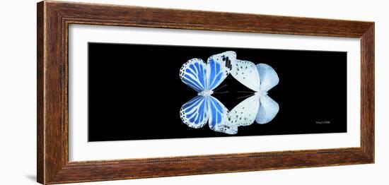 Miss Butterfly Duo Salateuploea Pan - X-Ray Black Edition-Philippe Hugonnard-Framed Photographic Print