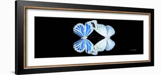 Miss Butterfly Duo Salateuploea Pan - X-Ray Black Edition-Philippe Hugonnard-Framed Photographic Print