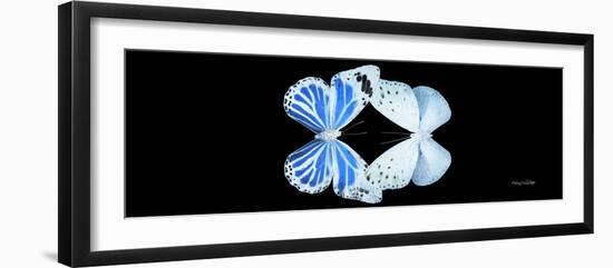 Miss Butterfly Duo Salateuploea Pan - X-Ray Black Edition-Philippe Hugonnard-Framed Photographic Print