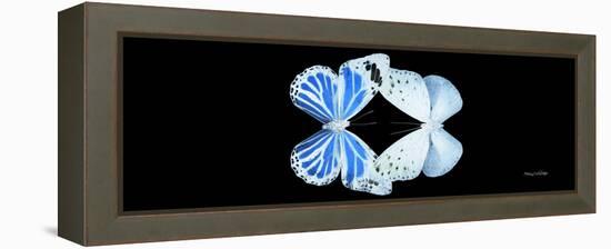 Miss Butterfly Duo Salateuploea Pan - X-Ray Black Edition-Philippe Hugonnard-Framed Premier Image Canvas